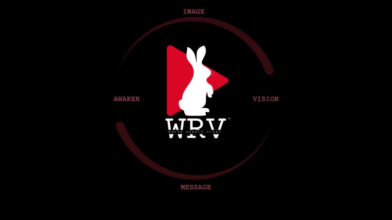 White Rabbit Intro White Rabbit Video